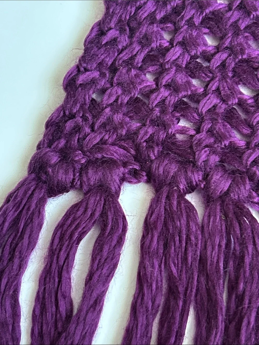 Plum Knit Fringe Scarf - Women